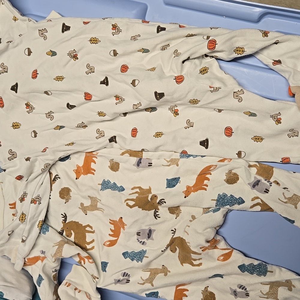 Fall Sleepers 🦊🦃 - Picture 7 of 7